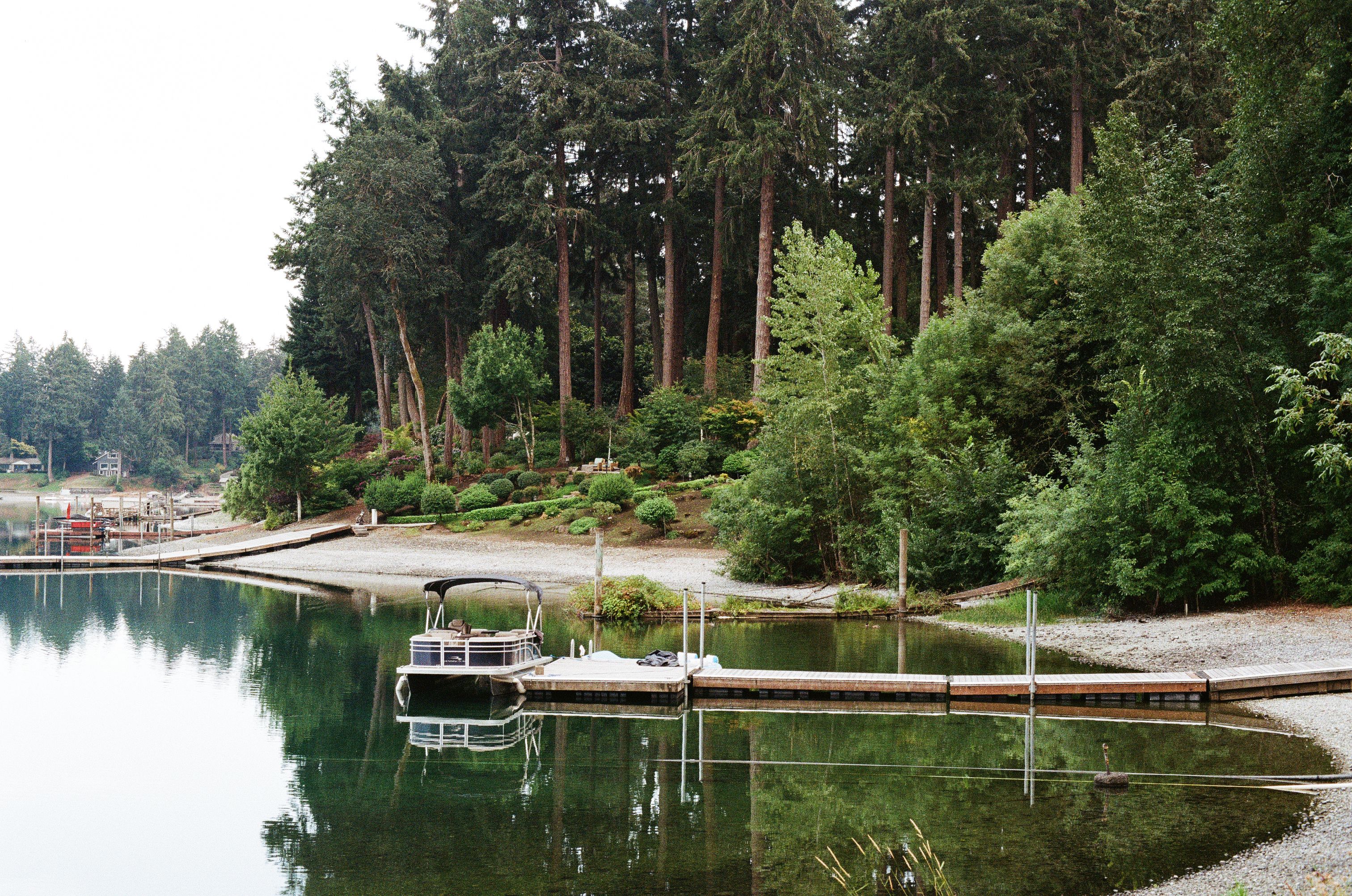 Lake dock with trees